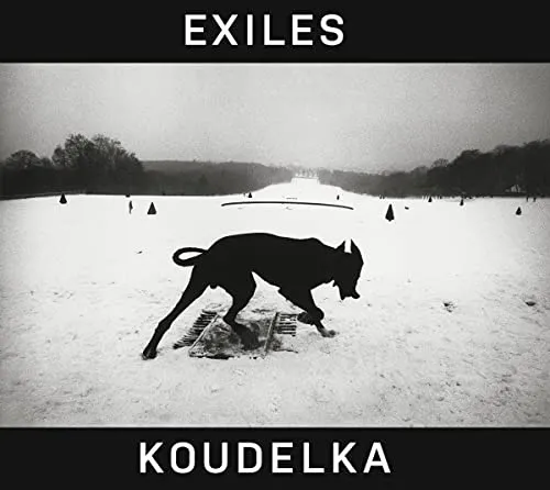 Couverture de Exiles