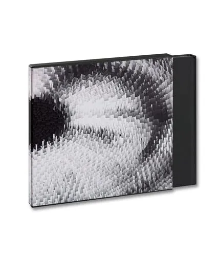 Couverture de Visual Spaces of Today