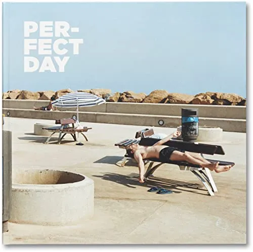 Couverture de Perfect Day