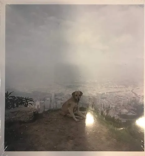 Couverture de Dog Days Bogota