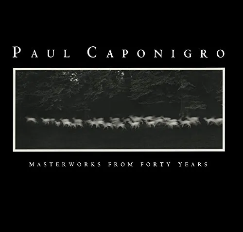 Couverture de Masterworks from Forty Years