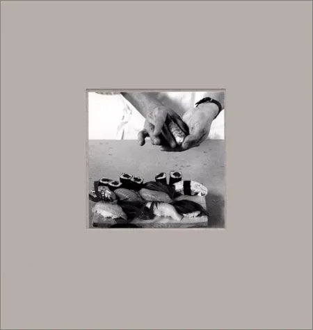 Couverture de Hannah Collins, filming things