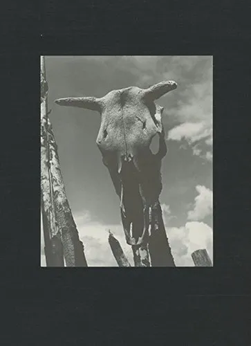 Couverture de Georgia O'Keeffe