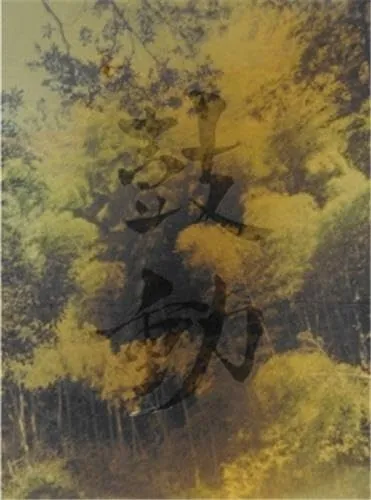 Couverture de Kodo