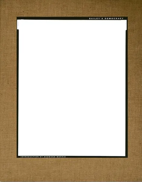 Couverture de Bailey'S Democracy