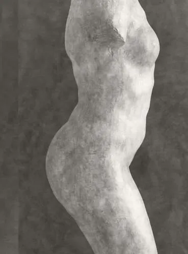 Couverture de Rodin
