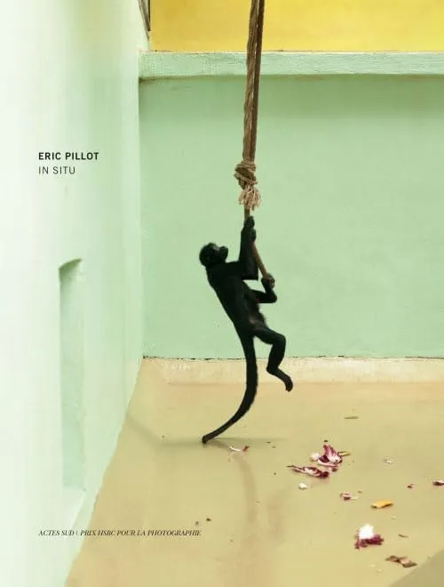 Couverture de In Situ