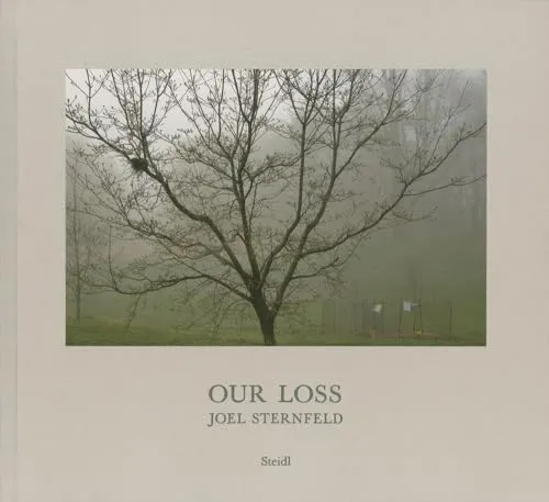 Couverture de Our Loss