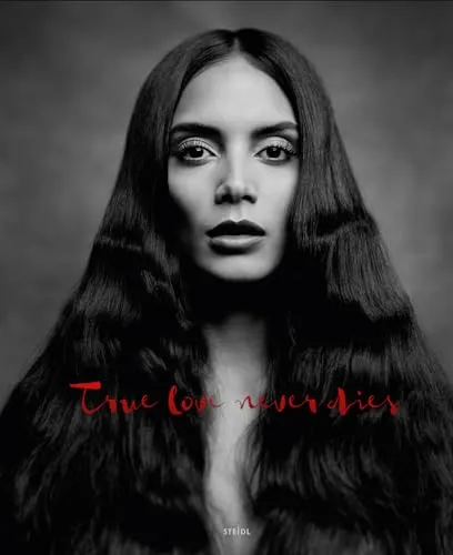Couverture de Photography As A New Kind Of Love Poem
