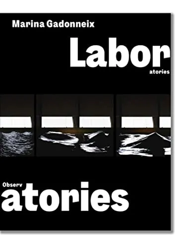 Couverture de Laboratoires / Observatoires