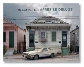 Couverture de Après le déluge