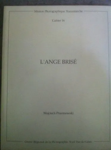 Couverture de L'ange brisé