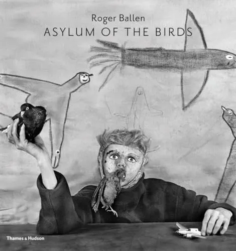 Couverture de Asylum of the Birds