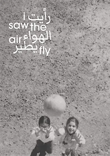 Couverture de I Saw The Air Fly