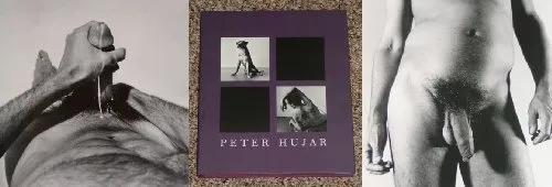 Couverture de Animals and Nudes
