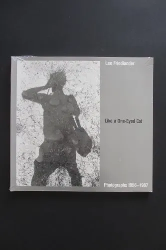 Couverture de Like A One-Eyed Cat