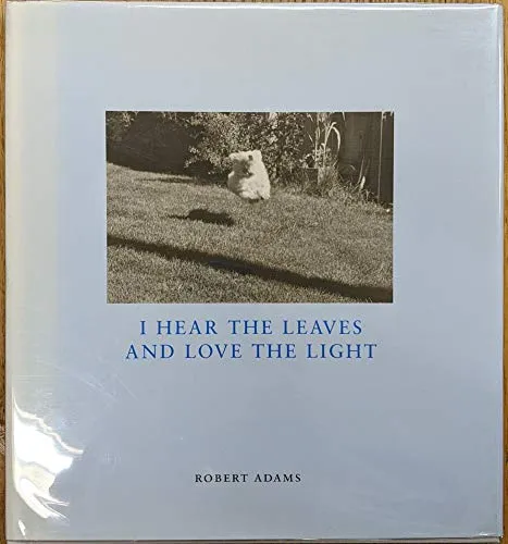 Couverture de I Hear The Leaves and Love The Light