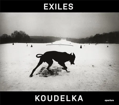 Couverture de Exiles