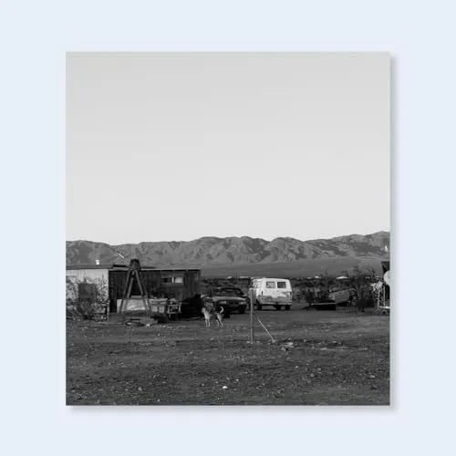 Couverture de Dogs Chasing My Car In The Desert