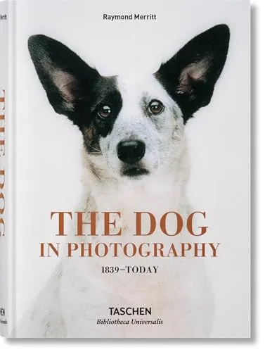 Couverture de Le chien dans la photographie 1839 à aujourd'hui