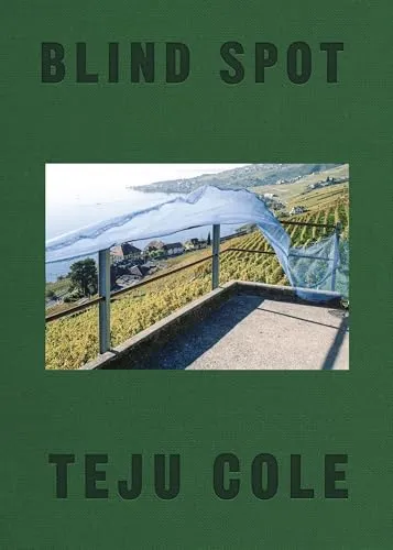 Couverture de Blind Spot