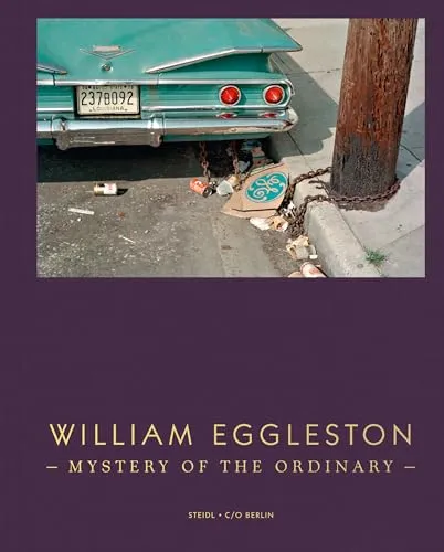Couverture de Mystery of the Ordinary