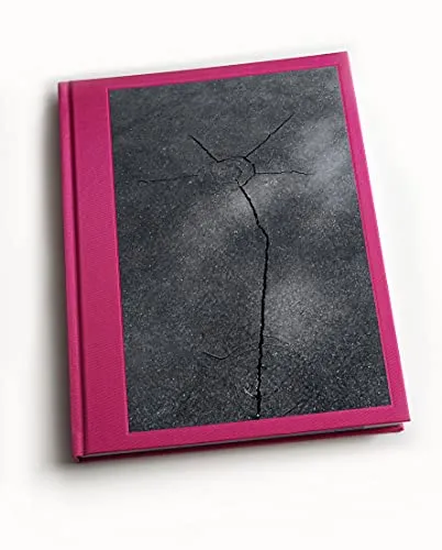 Couverture de Abstract