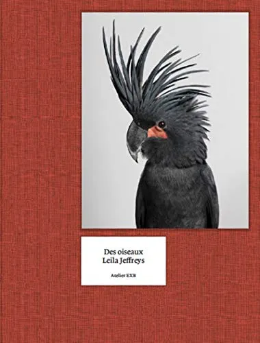 Couverture de Des Oiseaux - Leila Jeffreys