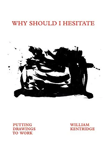 Couverture de Why Should I Hesitate