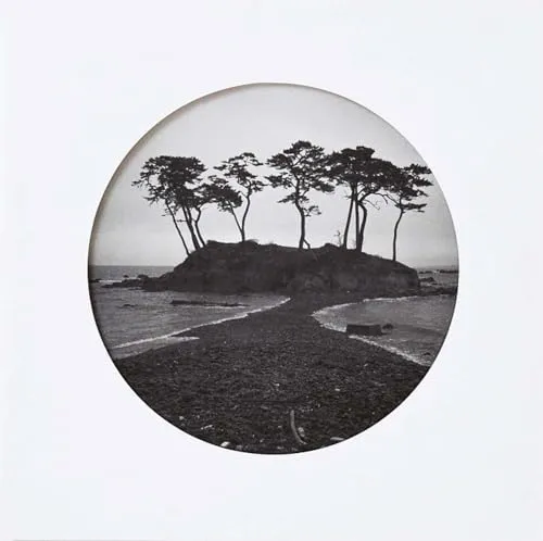 Couverture de A Distant Shore
