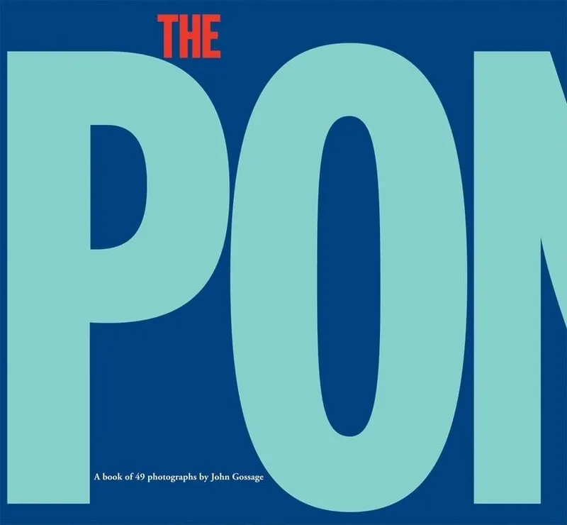 Couverture de The Pond