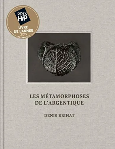Couverture de Les métamorphoses de l'argentique - Denis Brihat