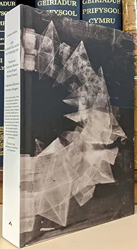 Couverture de Les Enfantillages pittoresques