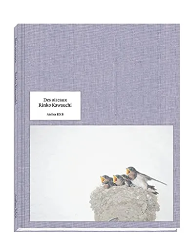 Couverture de Des Oiseaux