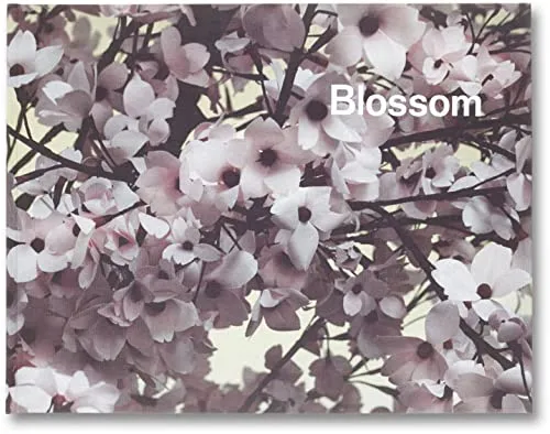 Couverture de Blossom