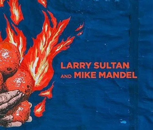 Couverture de Larry Sultan and Mike Mandel