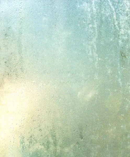 Couverture de All things laid dormant