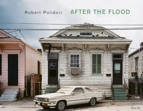 Couverture de After The Flood