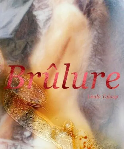 Couverture de Brûlure