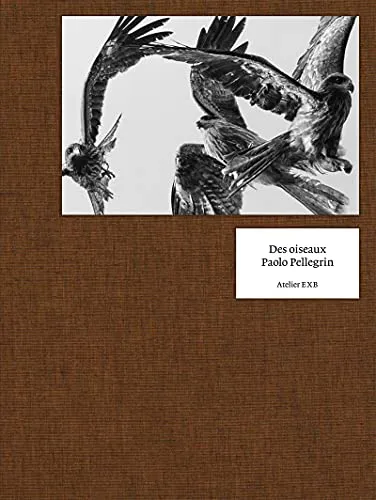 Couverture de Des Oiseaux Paolo Pellegrin (English)