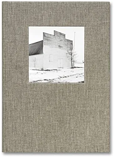 Couverture de American Winter