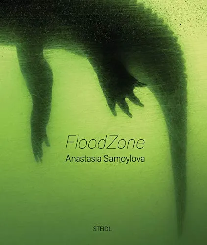 Couverture de Floodzone