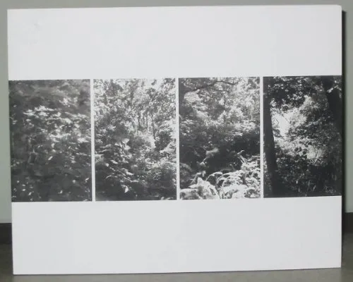 Couverture de Light Balances