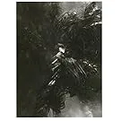 Couverture de Nicolas Floc’h - Initium Maris