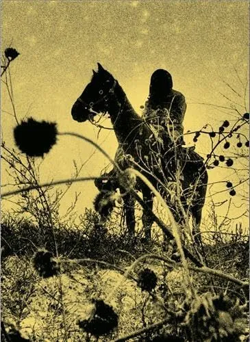 Couverture de Aux ombres - To the shadows. Un essai visuel documentaire sur les chevauchées Lakota