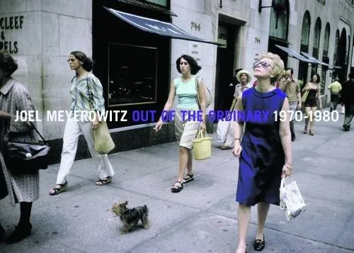 Couverture de Out of the Ordinary