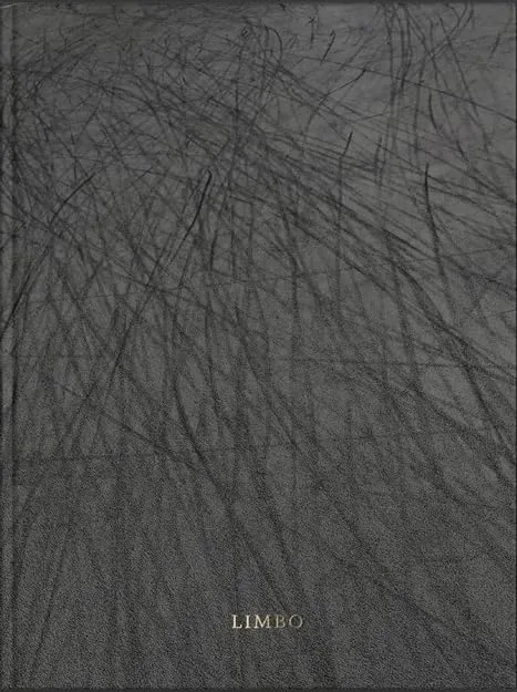 Couverture de LIMBO