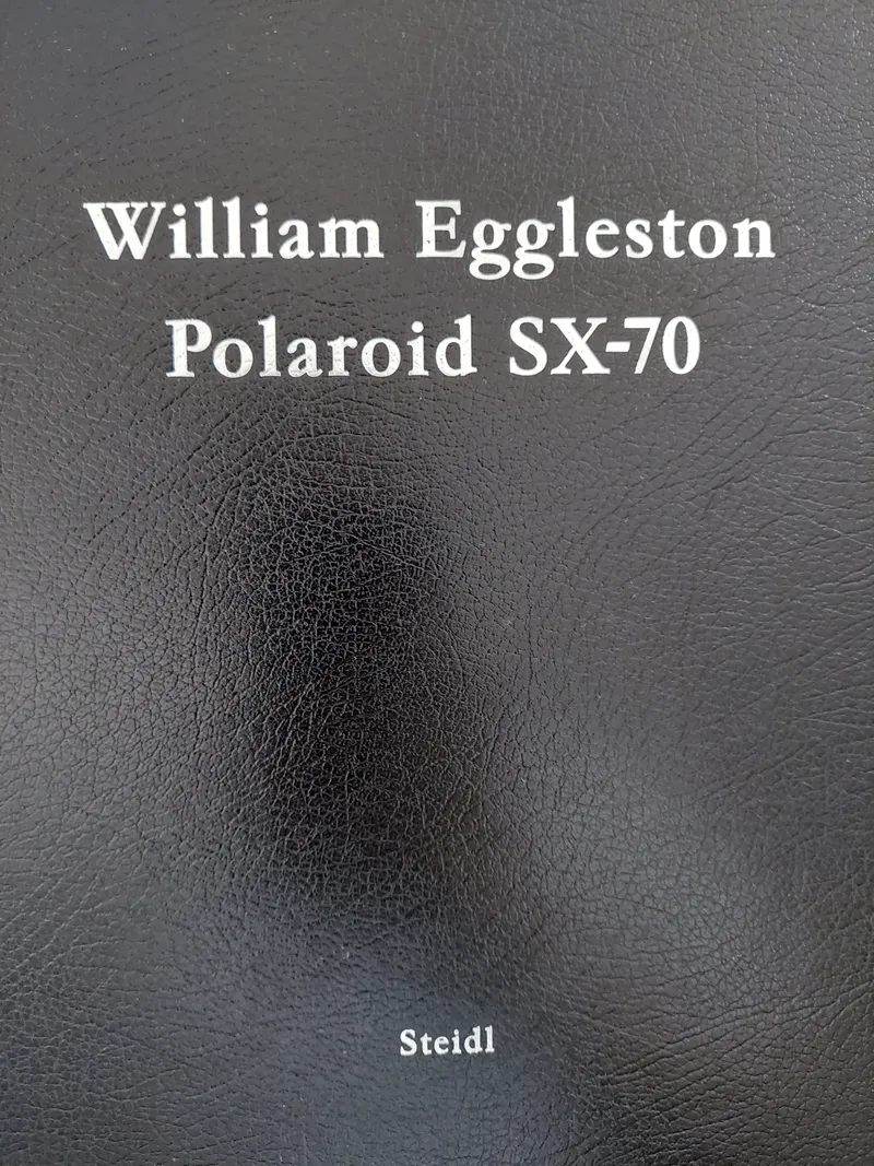 Couverture de William Eggleston: Polaroid SX-70