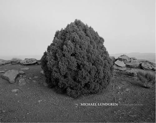 Couverture de Transfigurations