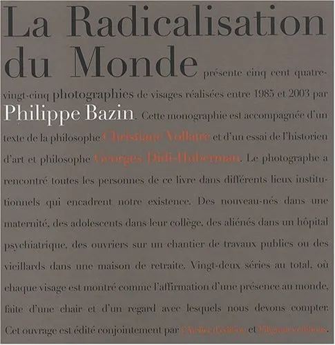 Couverture de La radicalisation du monde